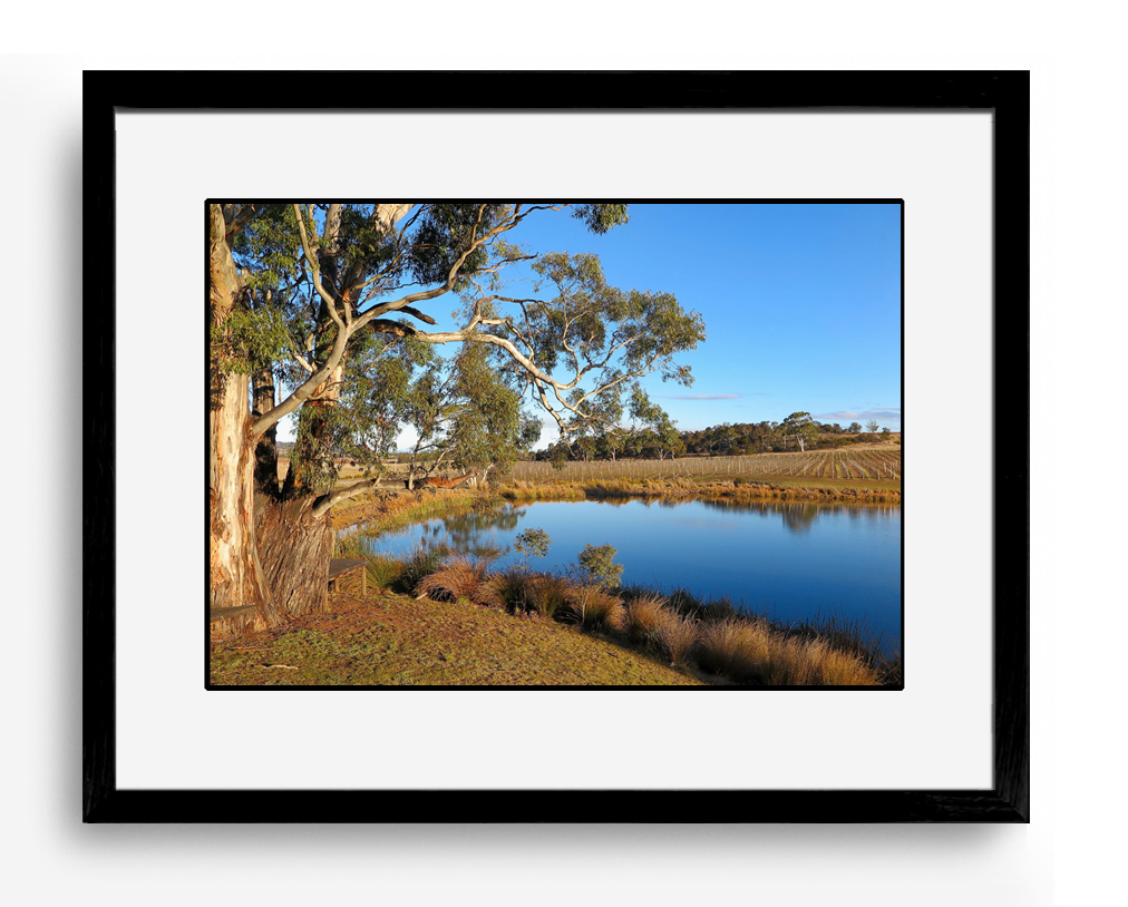 Gosford Art Prize | real living photoart | Laraine Richardson | fine art photography | Central Coast | Australia