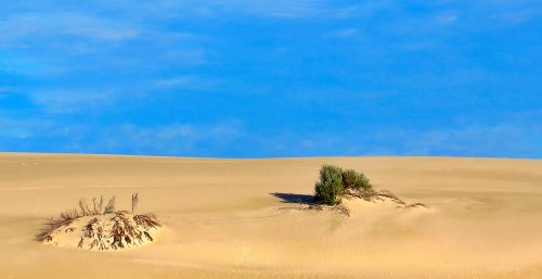 real living photoart | Laraine Richardson | fine art photography | Central Coast | Desert | Australia