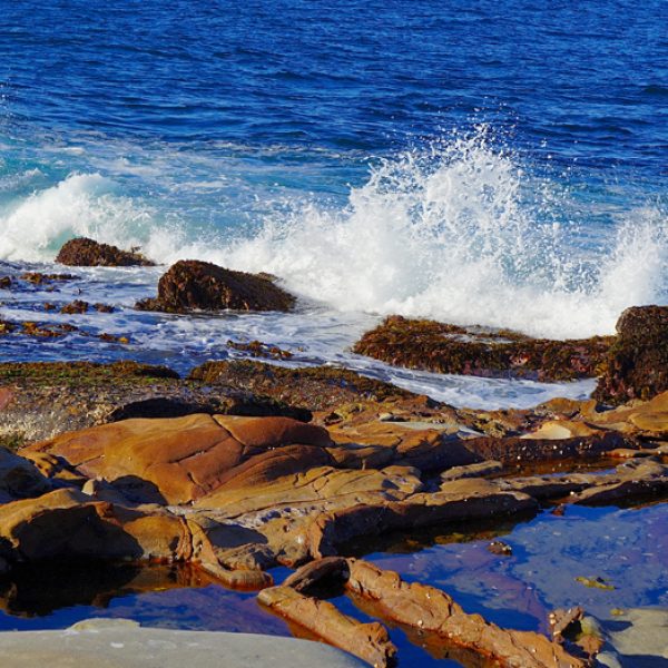 Terrigal Serenade