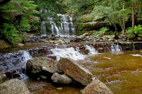 real living photoart | Laraine Richardson | fine art photography | Central Coast | Australia