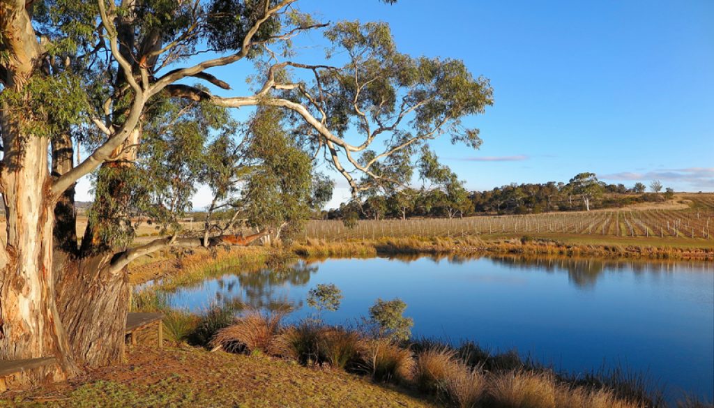 Gosford Art Prize | real living photoart | Laraine Richardson | fine art photography | Central Coast | Australia