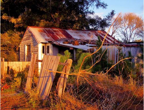 real living photoart | Laraine Richardson | fine art photography | Central Coast | Australia