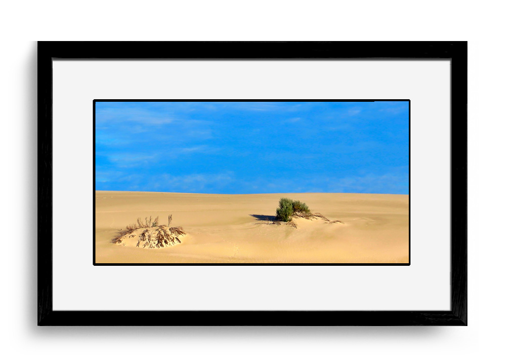 real living photoart | Laraine Richardson | fine art photography | Central Coast | Desert | Australia