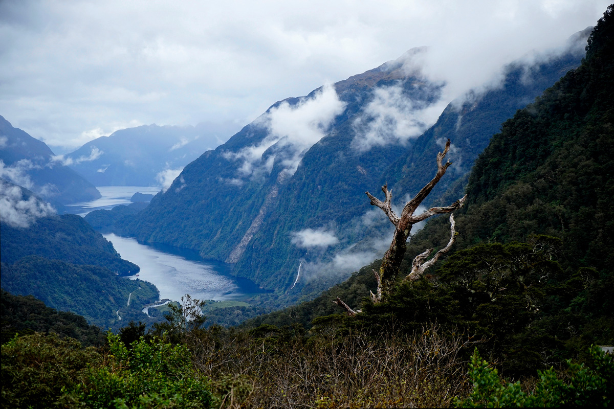 Limited Editions | art | Laraine Richardson | landscape photography | New Zealand | Milford Sound