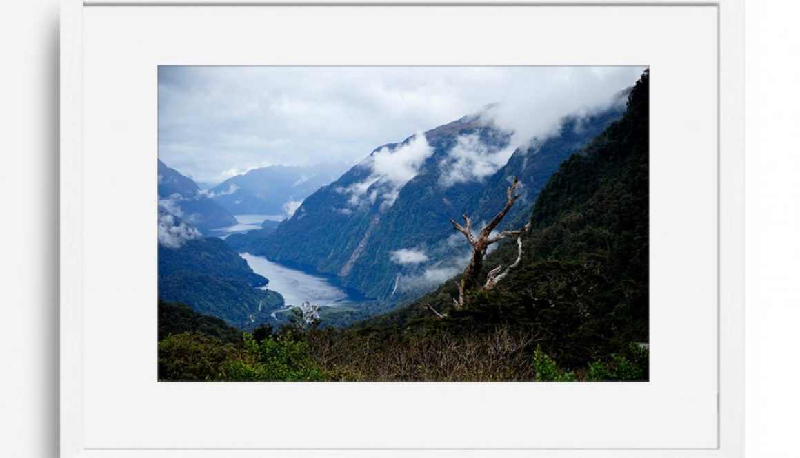 Milford sound | frames | fine art | realliving | photo | editions