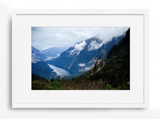 Milford sound | frames | fine art | realliving | photo | editions